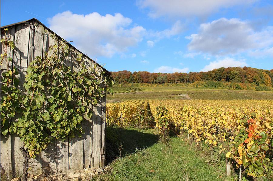 Romery Gite Du " Bas Du Cru "别墅 外观 照片